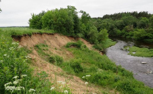 6. Murmulių atodanga 1.jpg